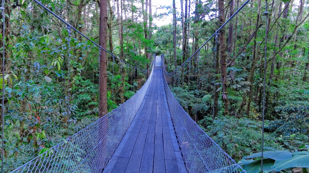 03 - Volcan Arenal (28).jpg